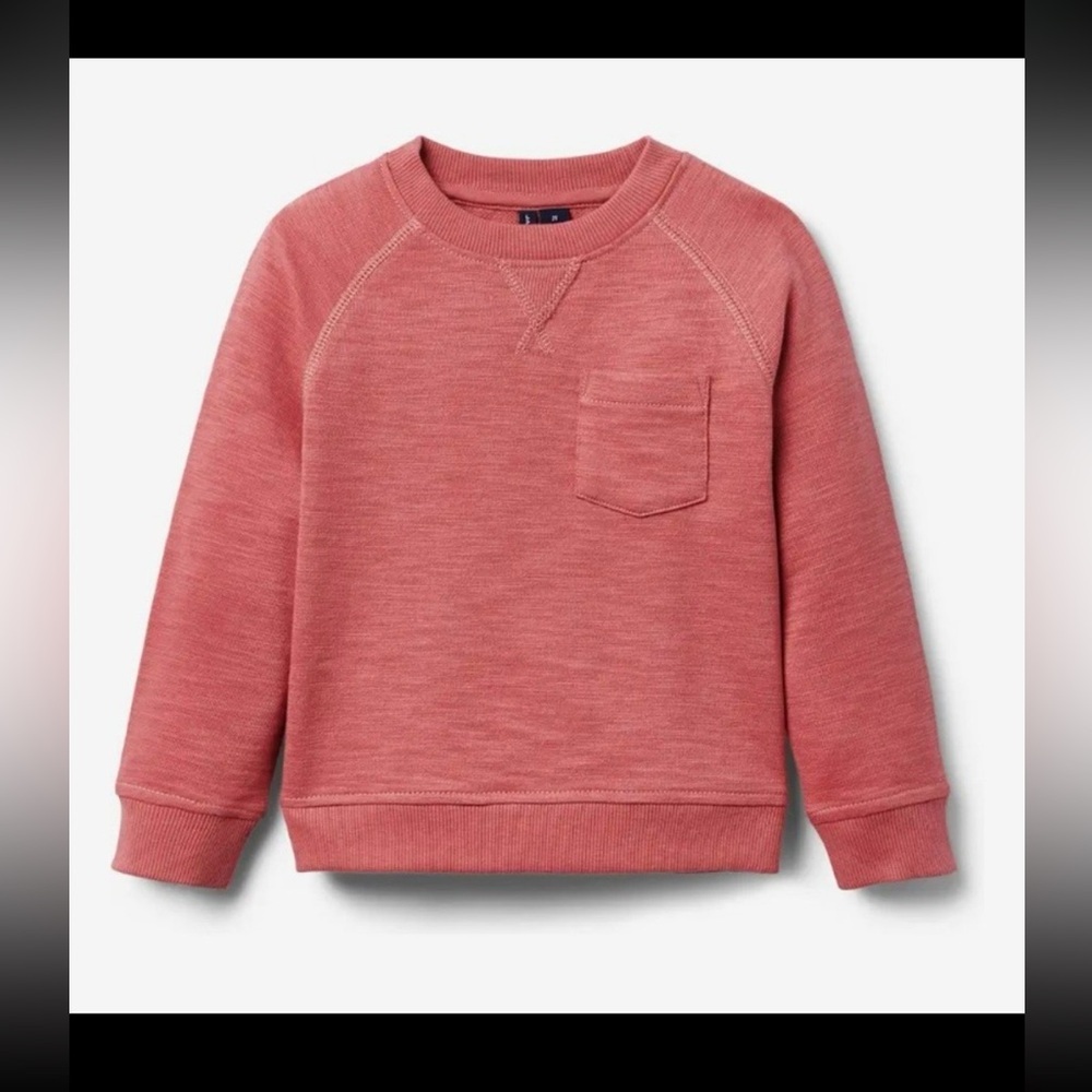 NWT- Janie and Jack Pink Crewneck Sweatshirt